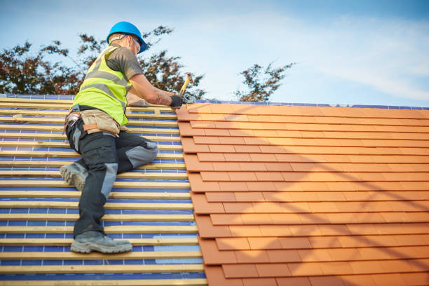 Best Asphalt Shingle Roofing  in Surprise, AZ